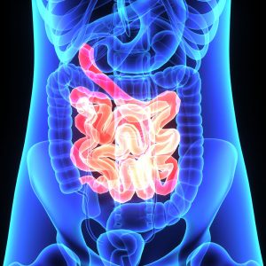 Gastrointestinal Imaging